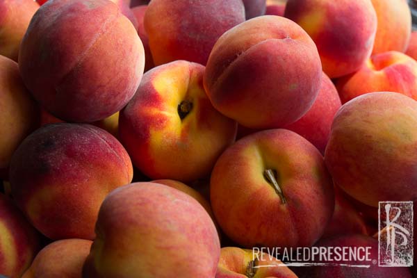 Fresh Peaches!