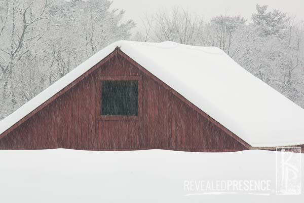 Barn Roof in a Snow Storm